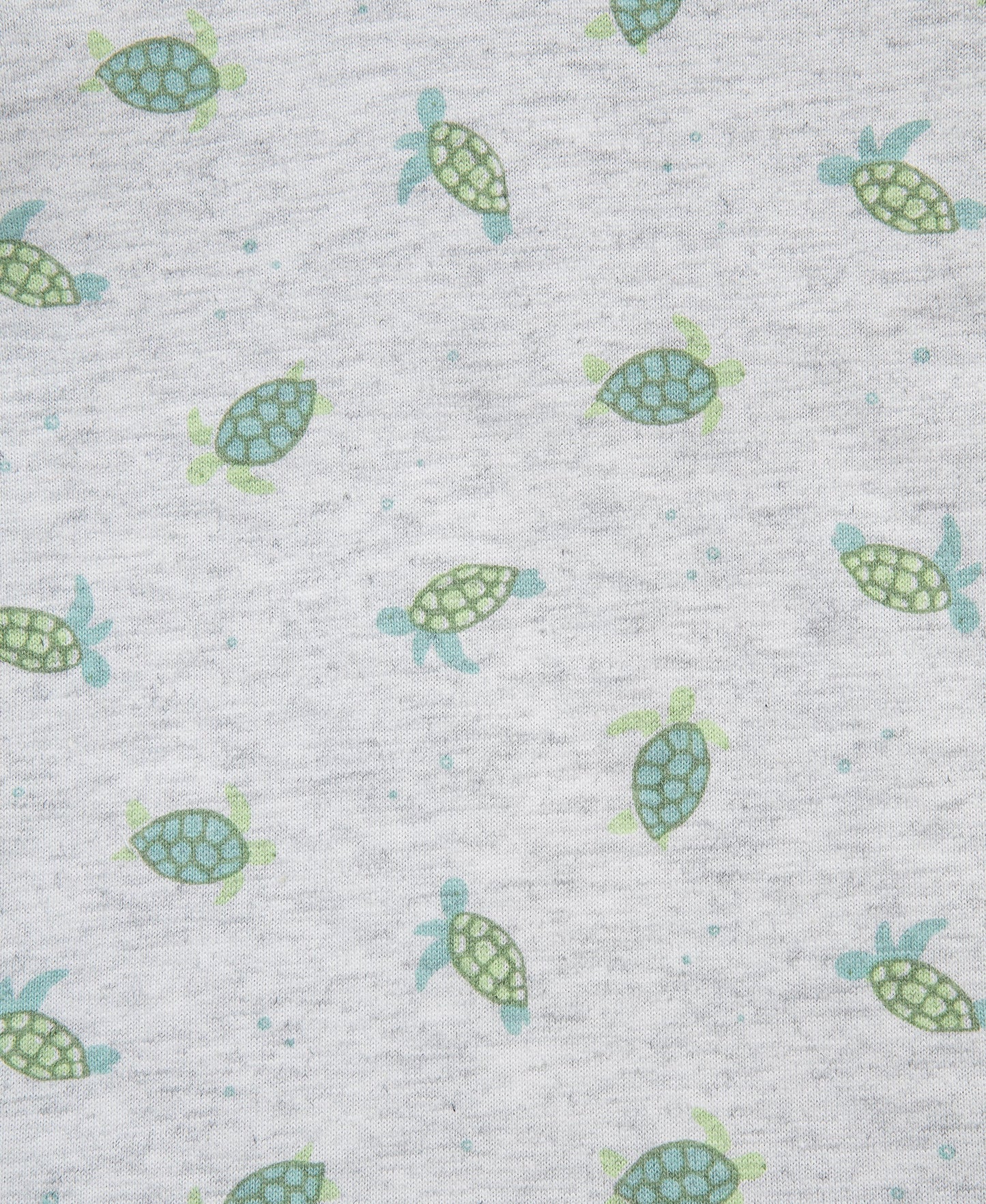 Turtle Shortall Set (12M-24M)