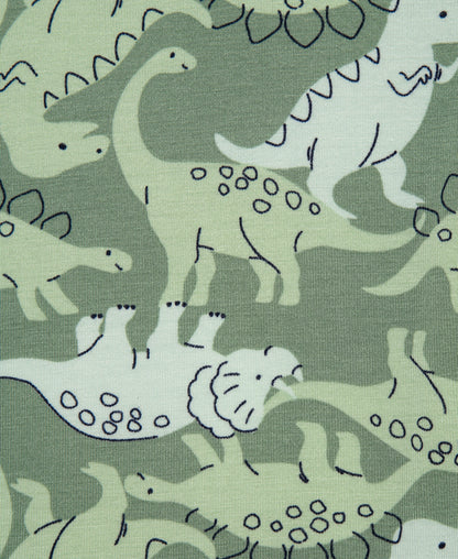 Dino 4-Piece Pajama Set (12M-24M)