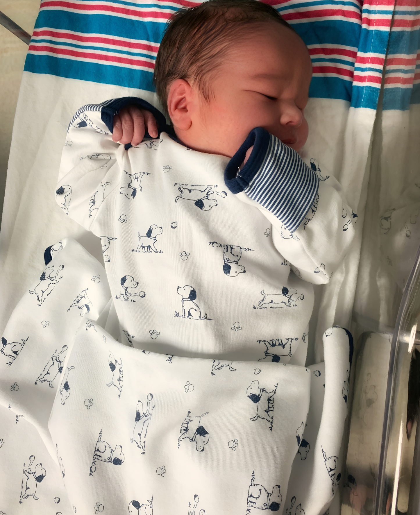 Puppy Toile Sleeper Gown And Hat